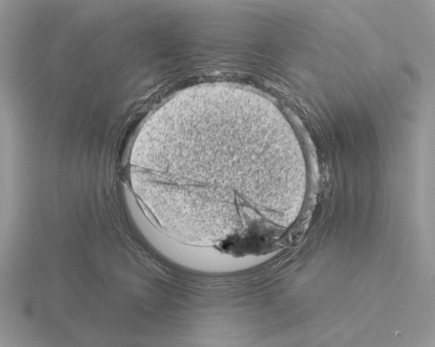 X0000115370566200912151421