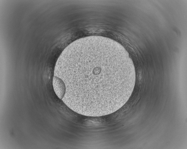 X0000115370567200912151421