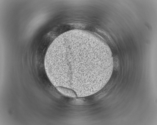 X0000115370573200912151421