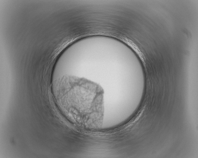 X0000115370577200912151421