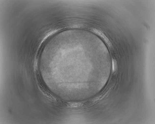 X0000115370579200912151421