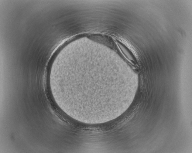 X0000115370580200912151421