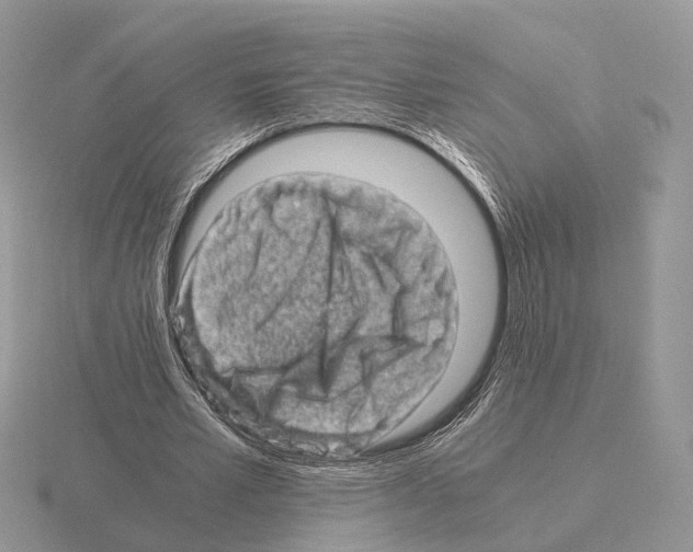 X0000115370581200912151421