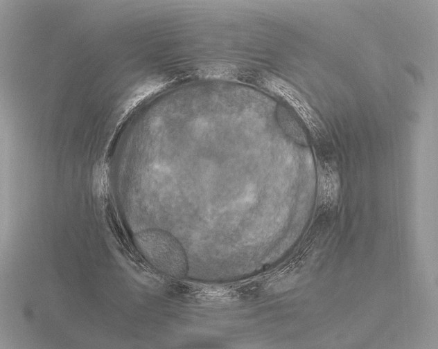 X0000115370583200912151421