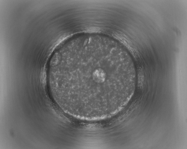 X0000115370584200912151421