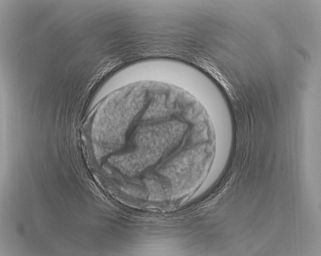 X0000115370585200912151421