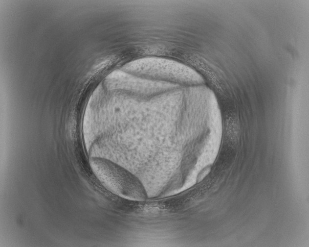 X0000115370587200912151420