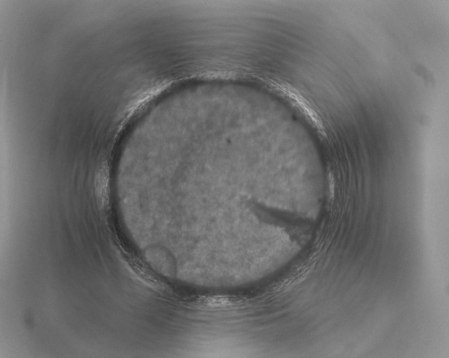 X0000115370588200912151420