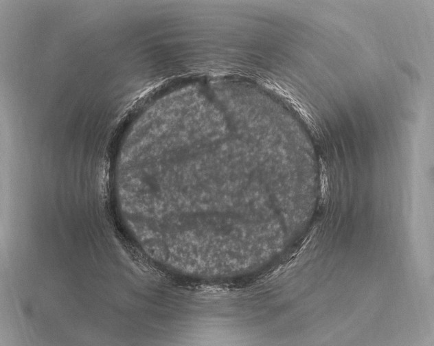 X0000115370592200912151420