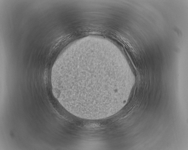 X0000115370594200912151420