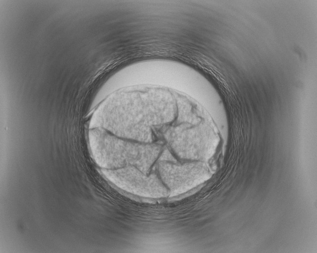 X0000115370595200912151420