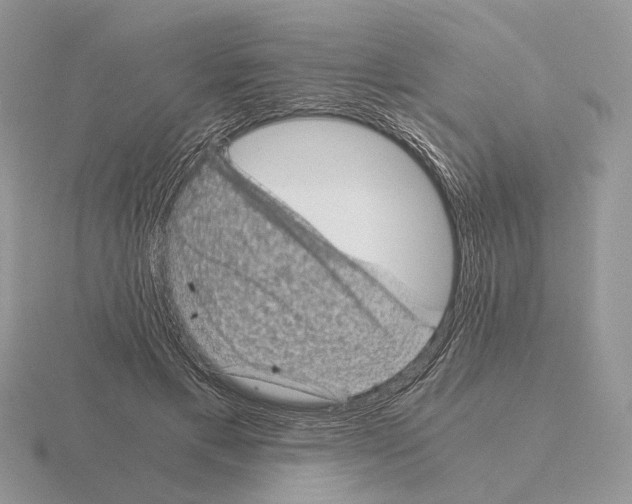 X0000115370597200912151420