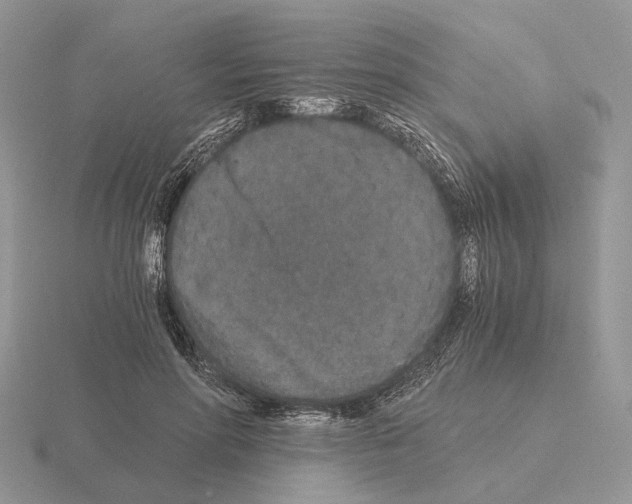 X0000115370598200912151420