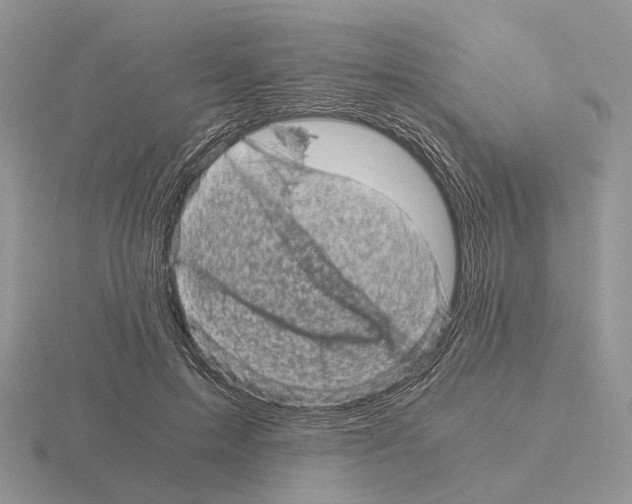 X0000115370599200912151420