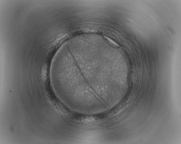 X0000115370600200912151420