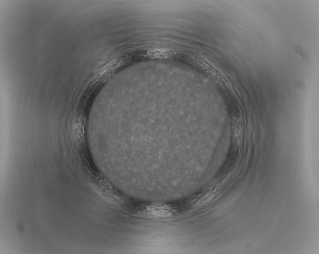 X0000115370603200912151420