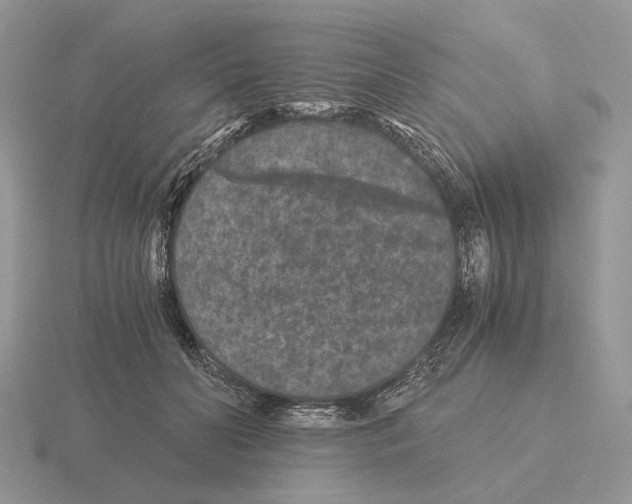 X0000115370606200912151420