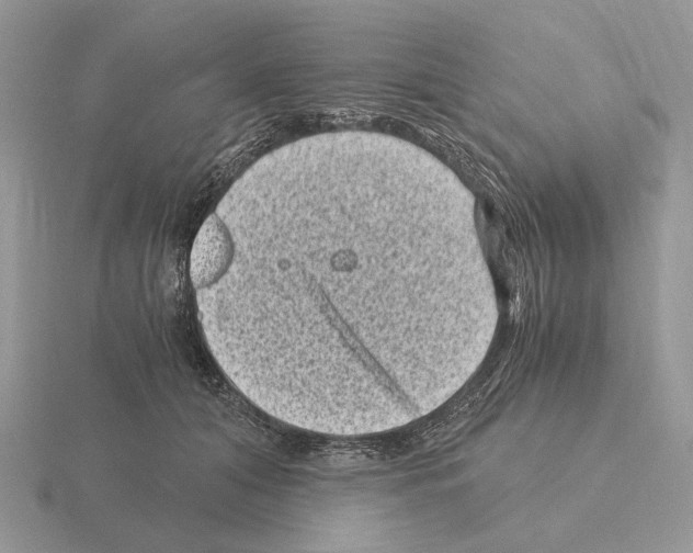 X0000115370608200912151420