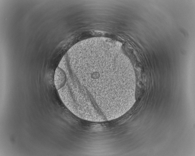 X0000115370616200912151420