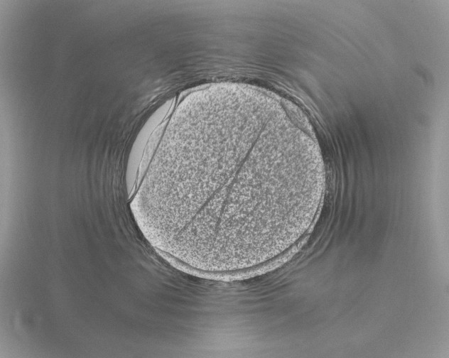 X0000115370621200912151420