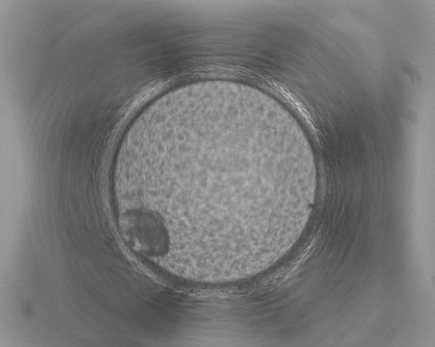 X0000115370625200912151419