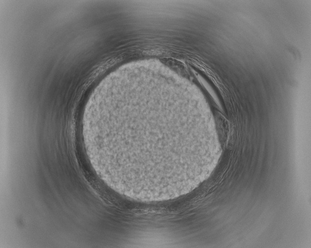 X0000115370626200912151419