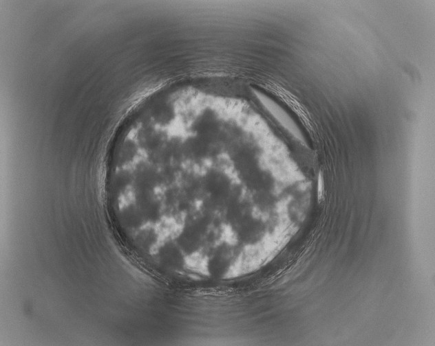 X0000115370627200912151419