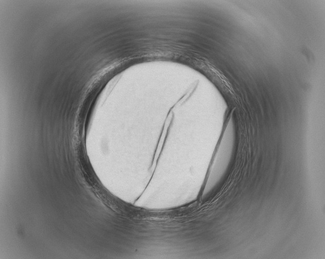 X0000115370628200912151419