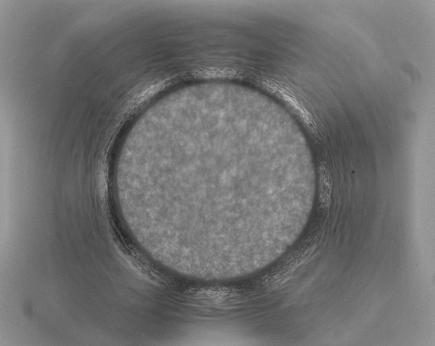 X0000115370631200912151419