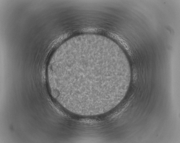 X0000115370633200912151419