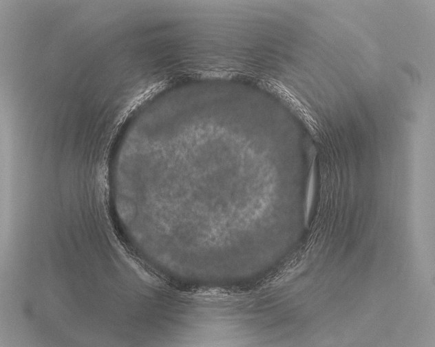 X0000115370634200912151420