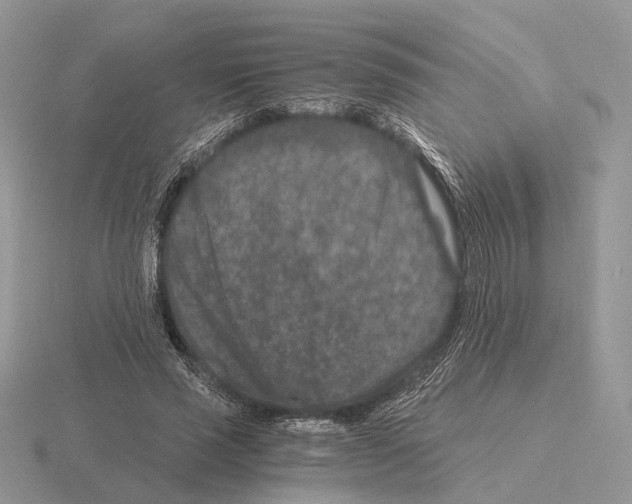 X0000115370637200912151420