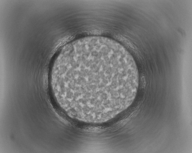 X0000115370638200912151420