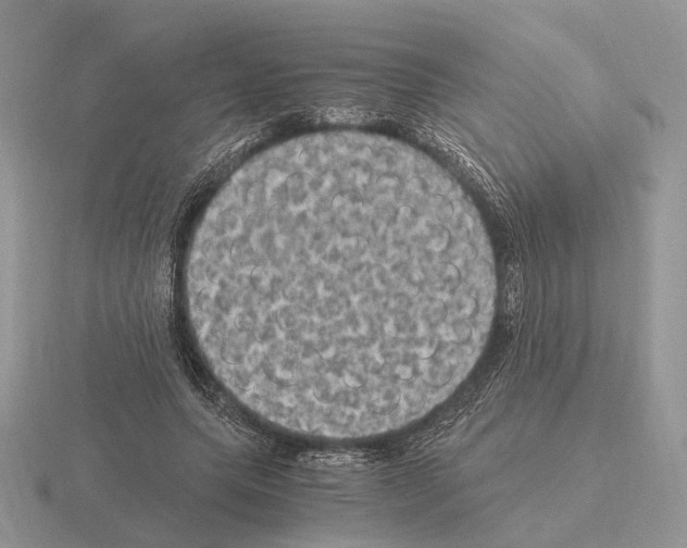 X0000115370639200912151420