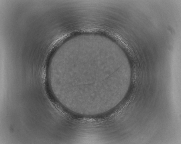 X0000115370640200912151420