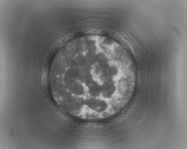 X0000115370641200912151420