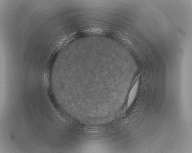 X0000115370642200912151420