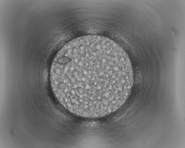 X0000115370646200912151420