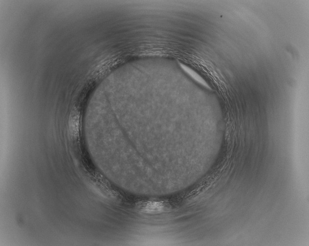 X0000115370647200912151420