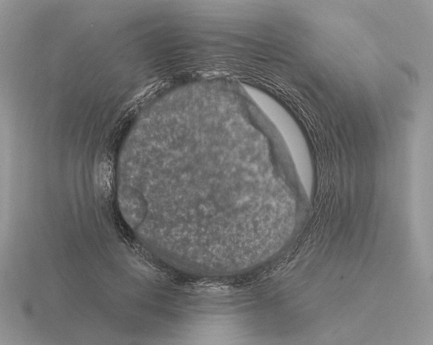 X0000115370648200912151420