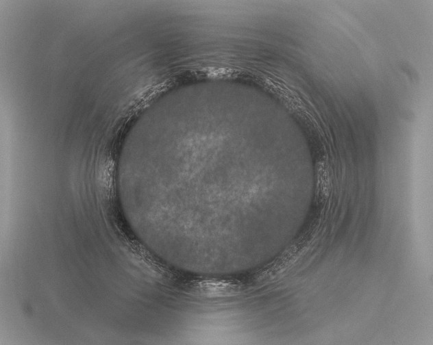 X0000115370650200912151420