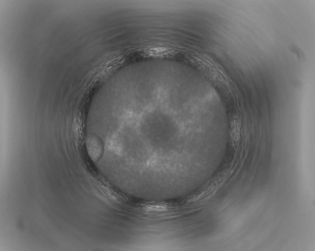 X0000115370653200912151420