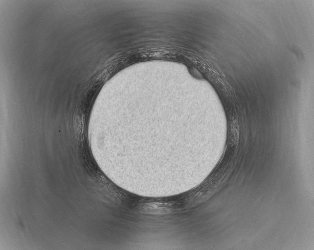 X0000115370657200912151420