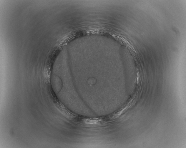 X0000115370661200912151420