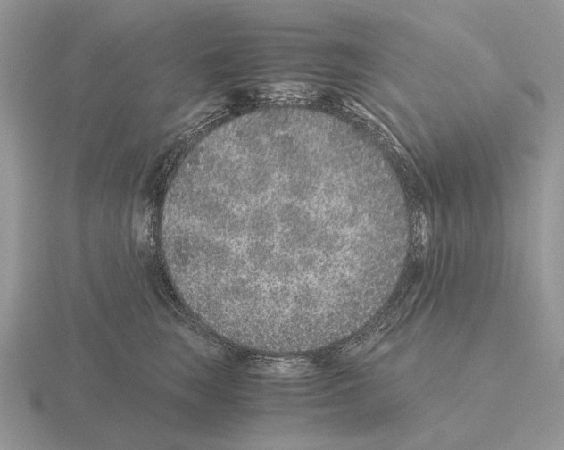 X0000115370663200912151420