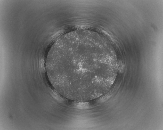 X0000115370670200912151420