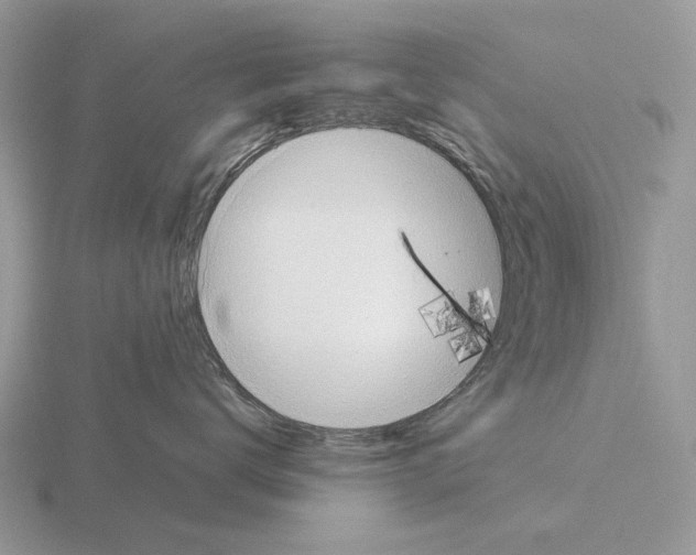 X0000115370672200912151420