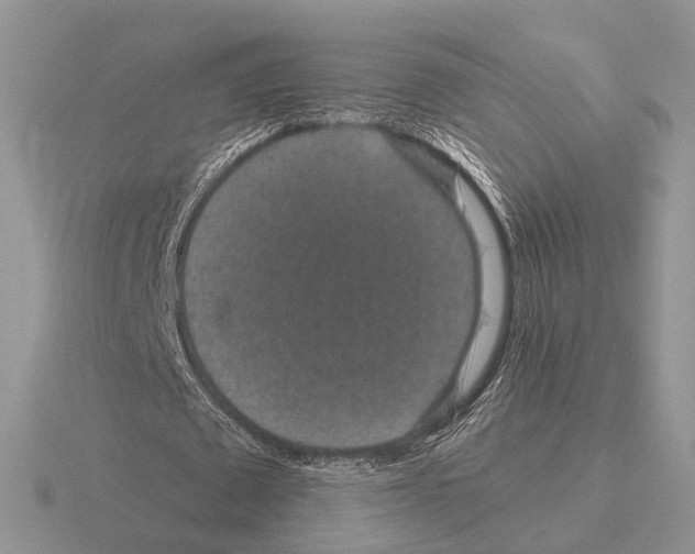 X0000115370673200912151419