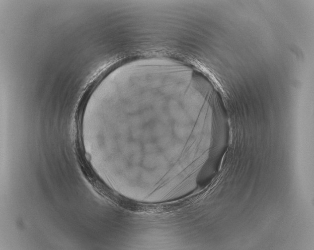 X0000115370674200912151419