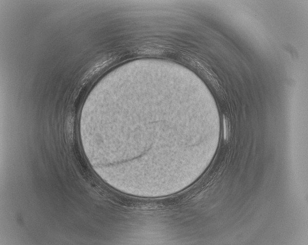 X0000115370675200912151419